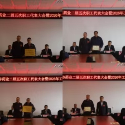 管2.jpg